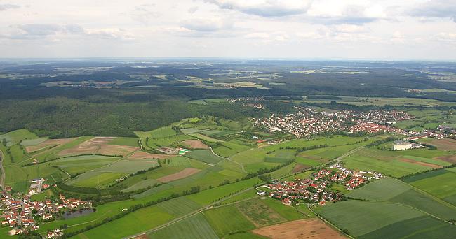 Scheinfeld 2014