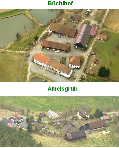 Ameisgrub 2024