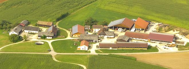 Katzenhüll 2024