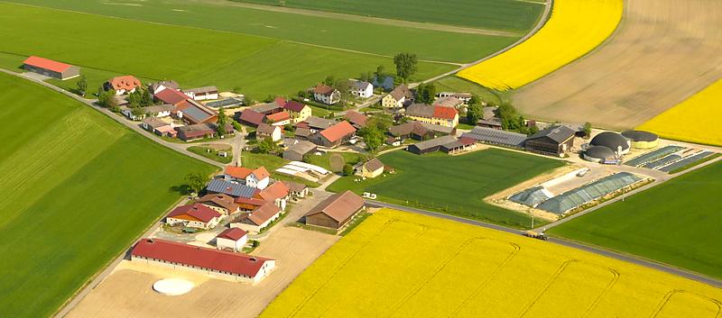 Schönthann 2015