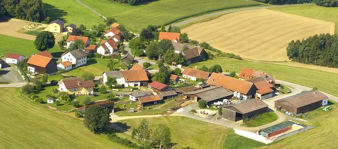 Niesaß 2019