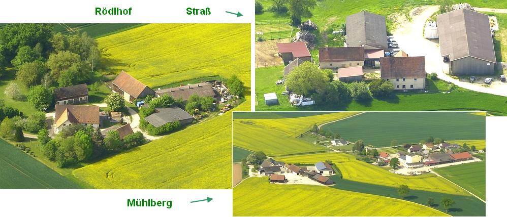 Mhlberg 2024